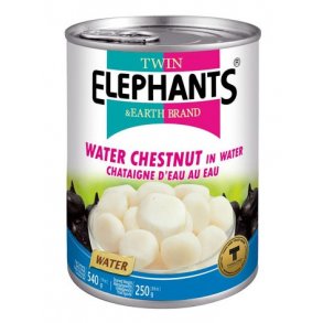 Water Chestnuts - 540gr. (Twin Elephants)