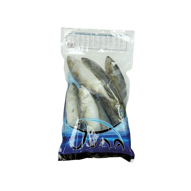 Indisk Makrel (1 kg.)