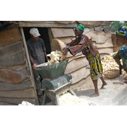 Cassava, grated (Jeeny's) - 454gr.